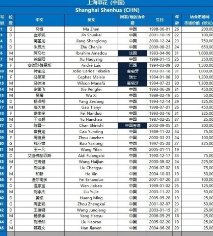 2024-2025 亞冠精英賽：上海申花賽程全揭秘名單